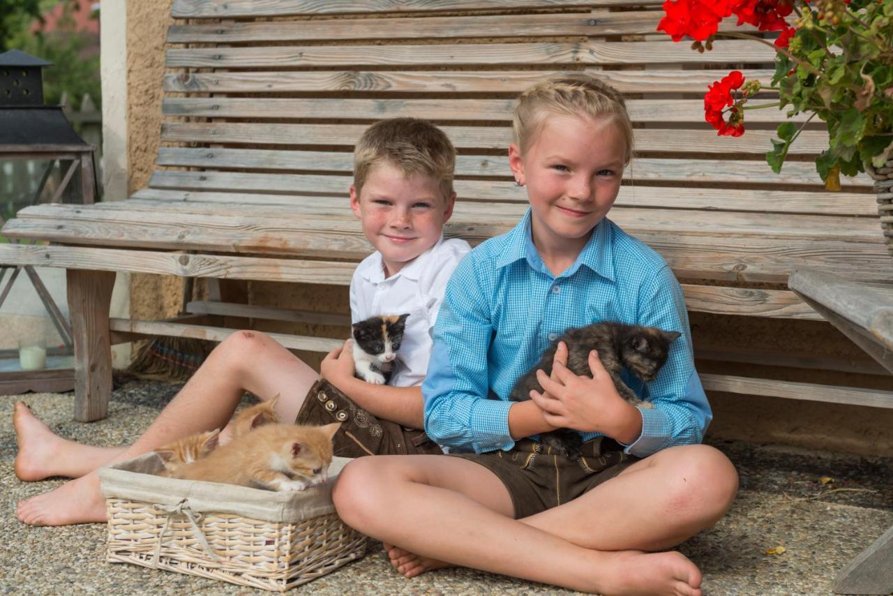 Hartlhof Urlaub Am Baby- Und Kinderbauernhof Niederau Exteriér fotografie